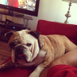 Meet your Posher, Manuel